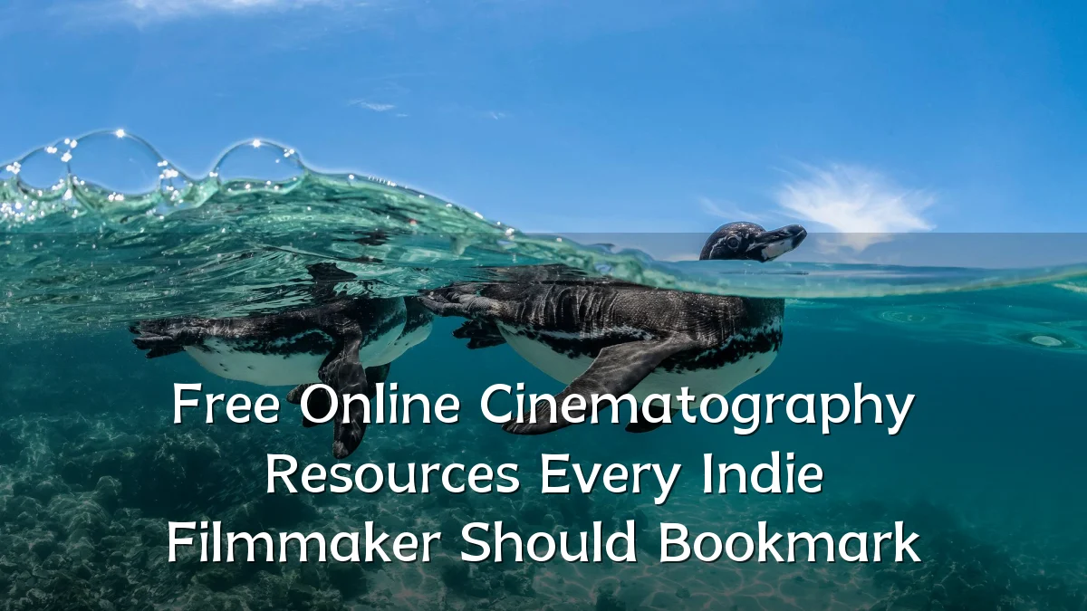 Free Online Cinematography Resources Every Indie Filmmaker Should Bookmark