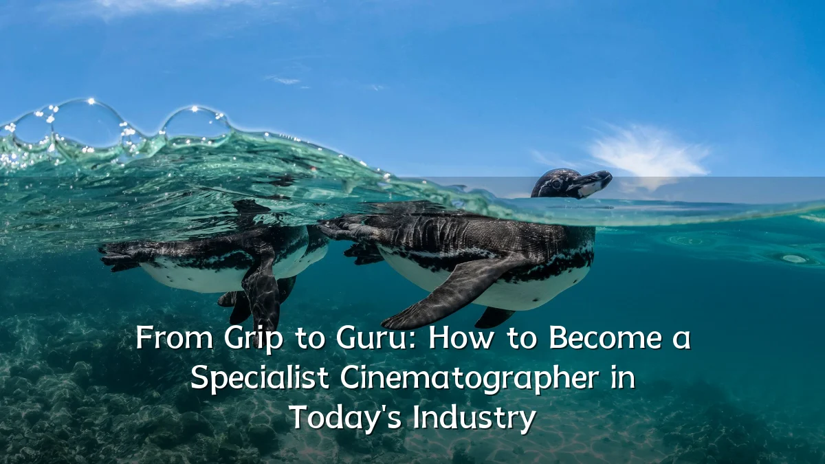 From Grip to Guru: How to Become a Specialist Cinematographer in Today's Industry