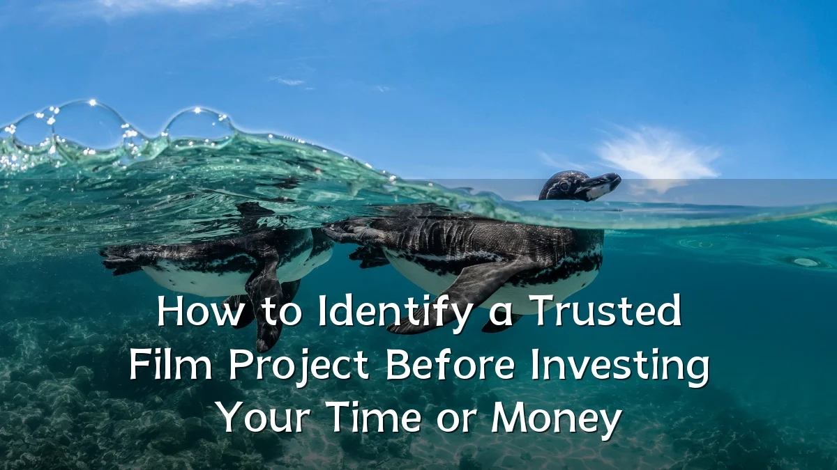 How to Identify a Trusted Film Project Before Investing Your Time or Money