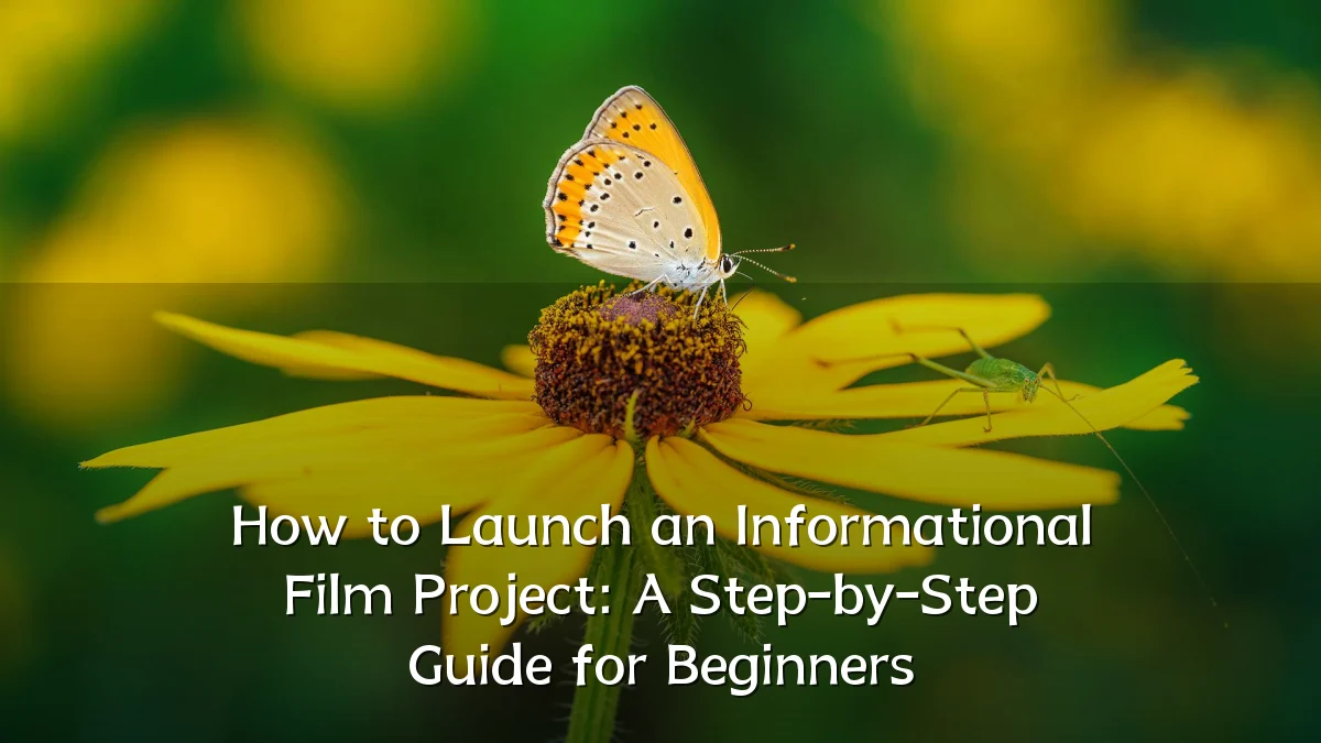 How to Launch an Informational Film Project: A Step-by-Step Guide for Beginners