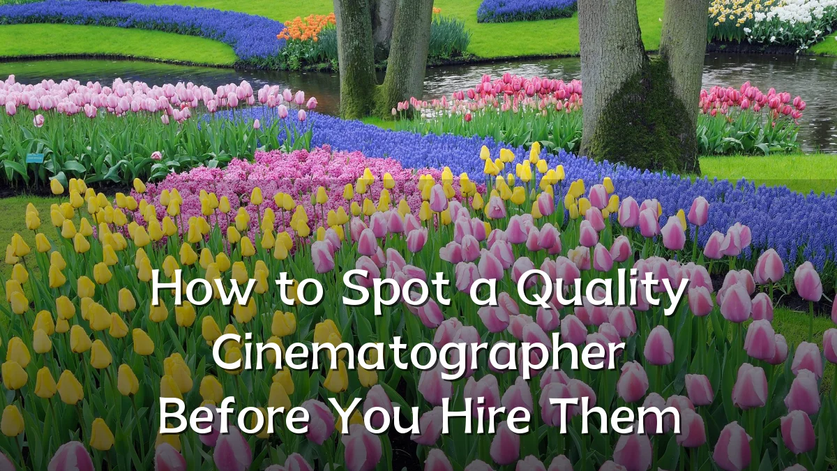 How to Spot a Quality Cinematographer Before You Hire Them
