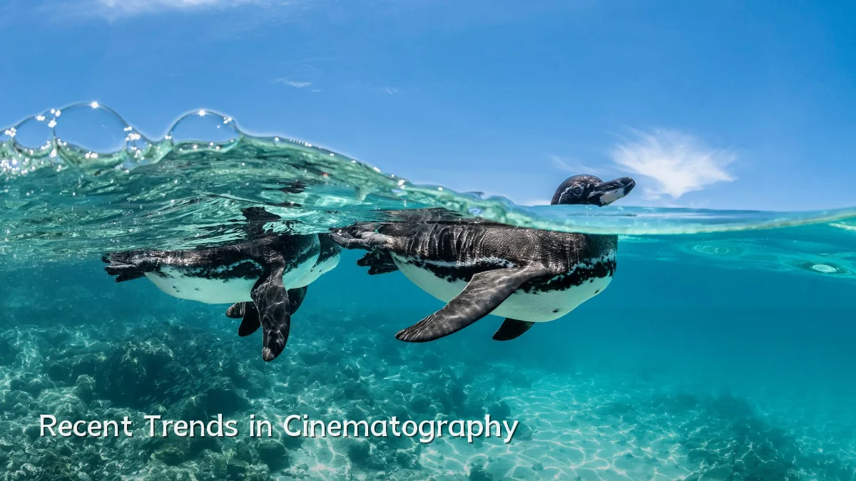 Recent Trends in Cinematography