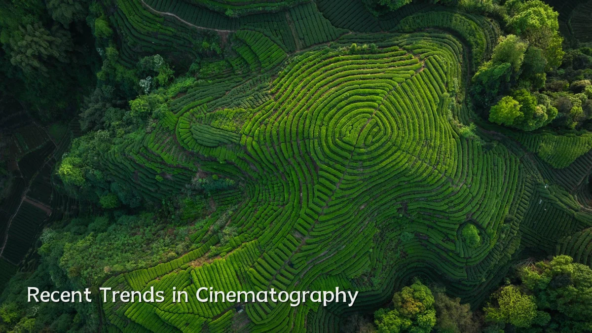 Recent Trends in Cinematography
