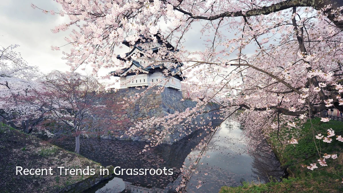 Recent Trends in Grassroots