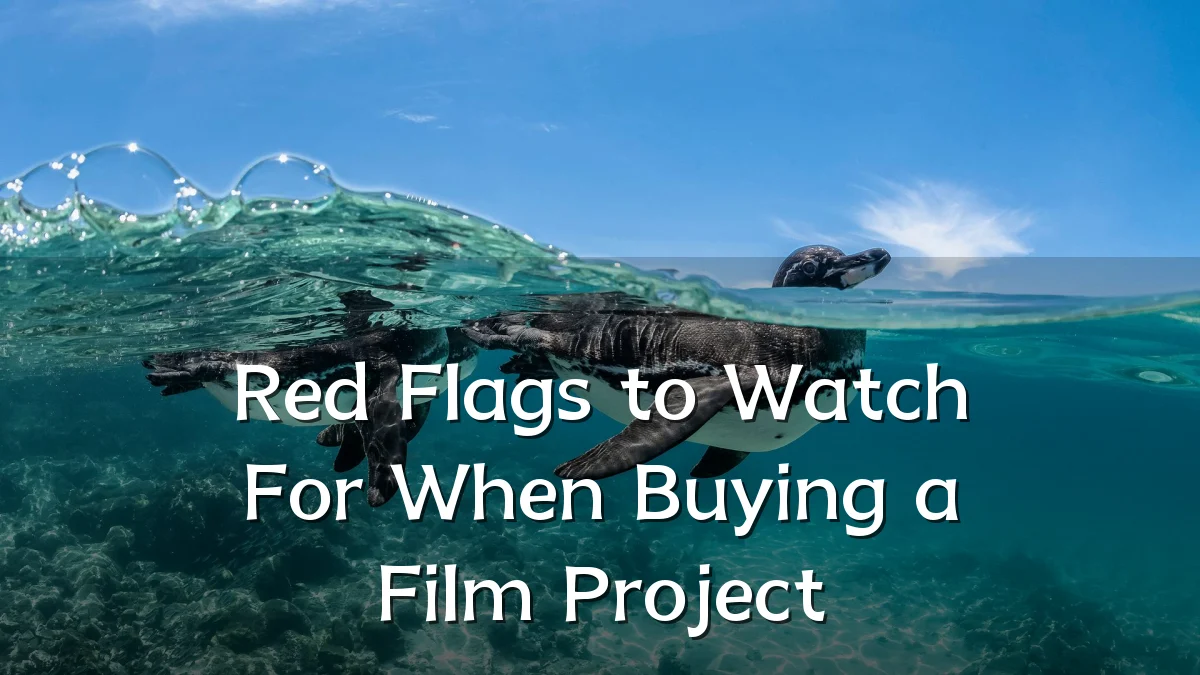 Red Flags to Watch For When Buying a Film Project