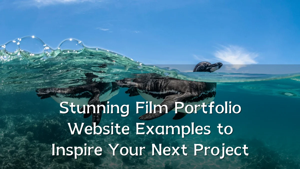 Stunning Film Portfolio Website Examples to Inspire Your Next Project