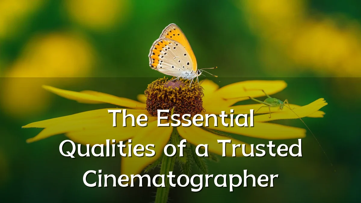The Essential Qualities of a Trusted Cinematographer