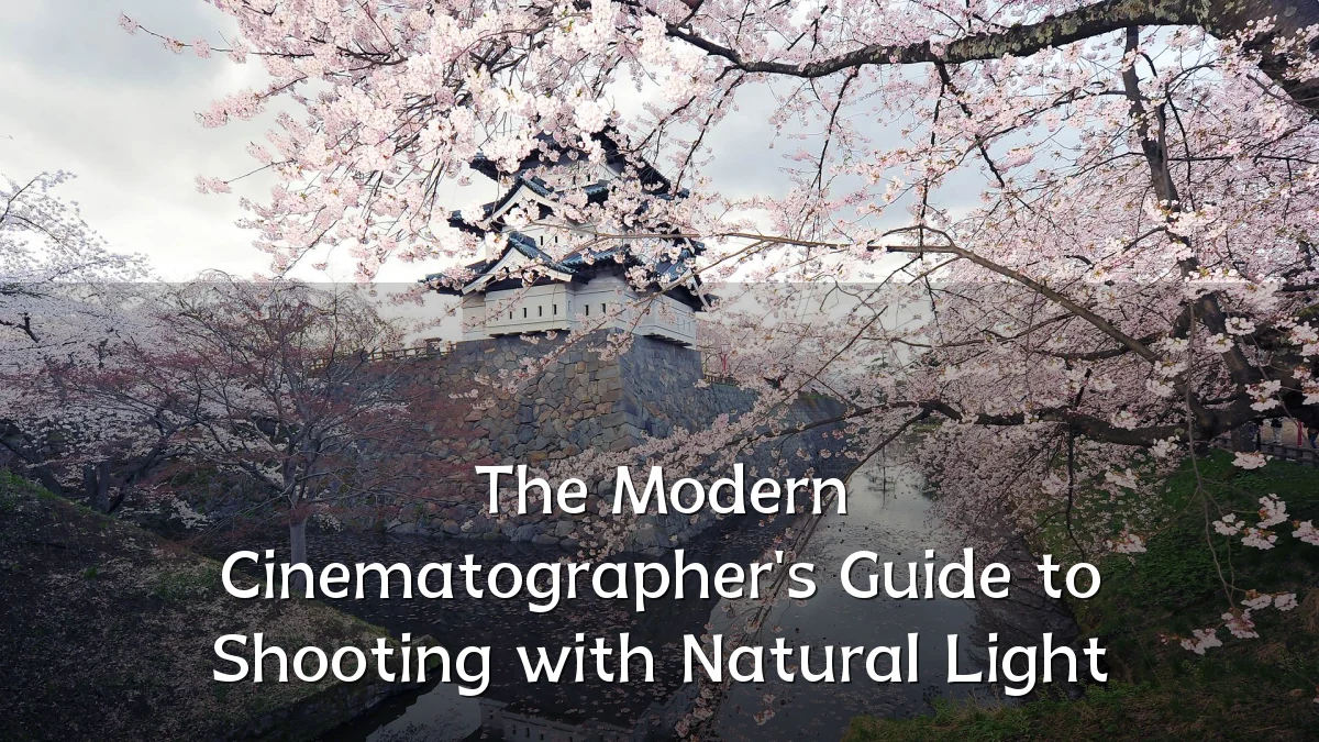 The Modern Cinematographer's Guide to Shooting with Natural Light