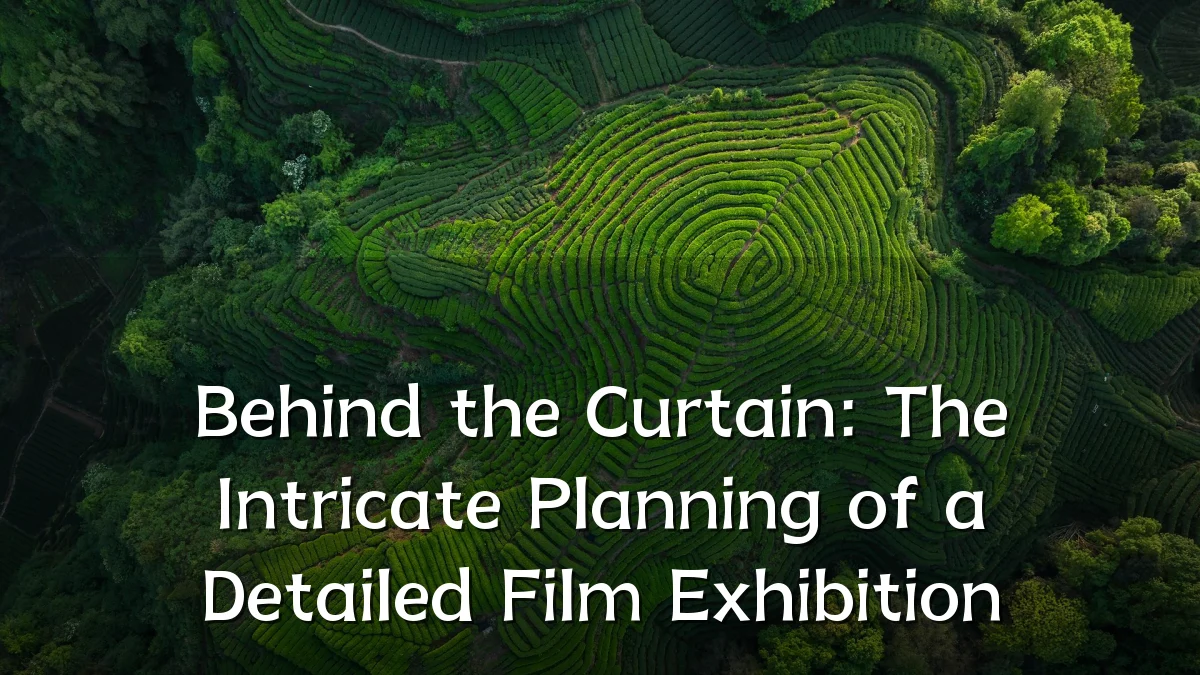 Behind the Curtain: The Intricate Planning of a Detailed Film Exhibition