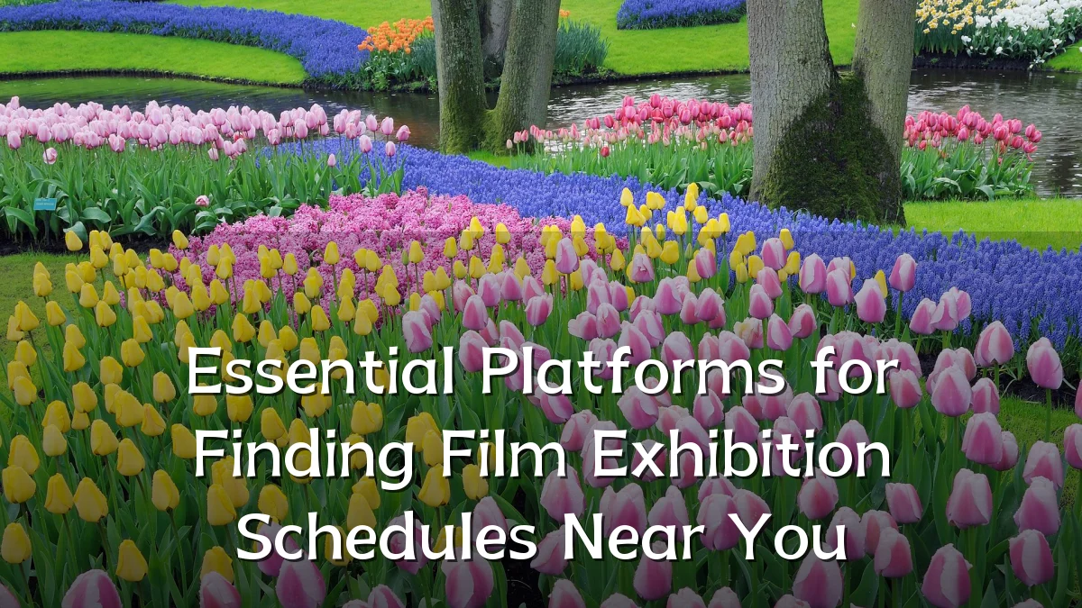 Essential Platforms for Finding Film Exhibition Schedules Near You