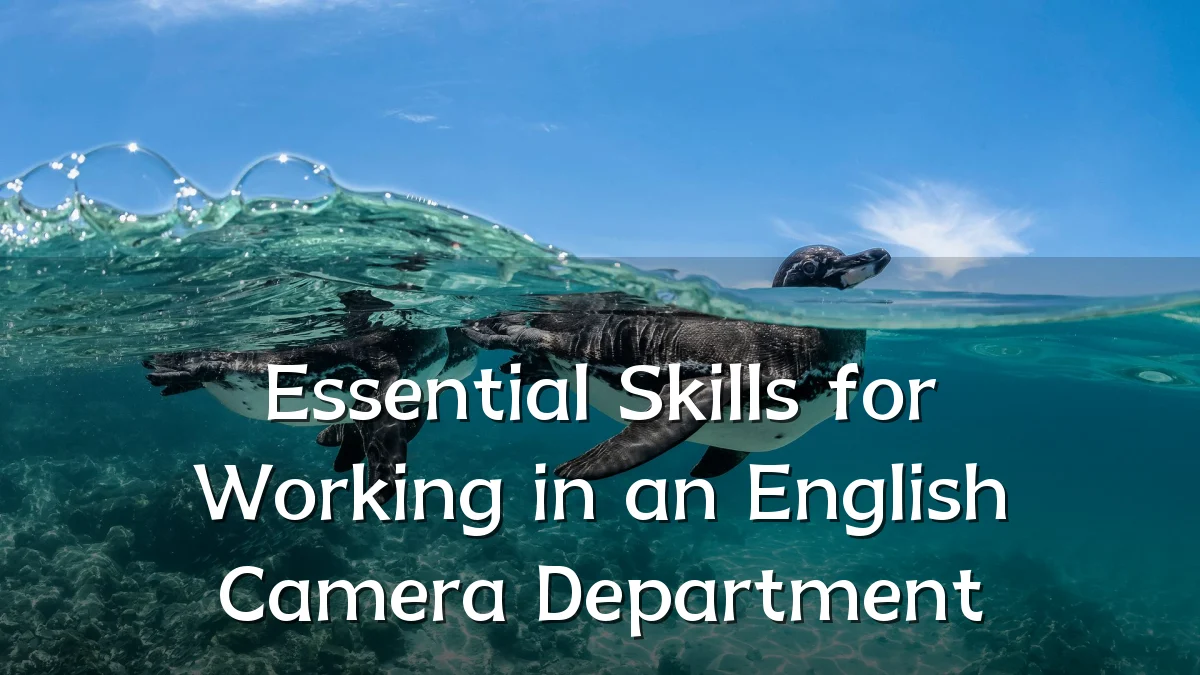 Essential Skills for Working in an English Camera Department