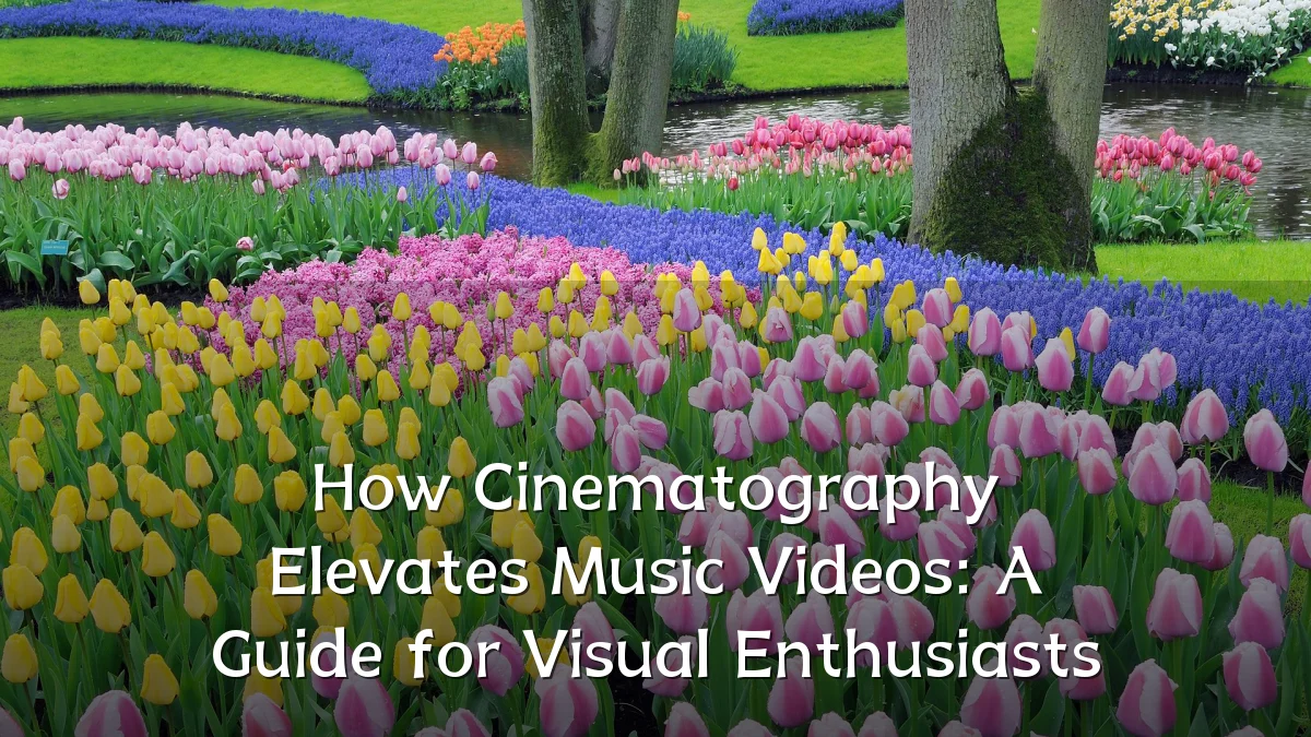 How Cinematography Elevates Music Videos: A Guide for Visual Enthusiasts