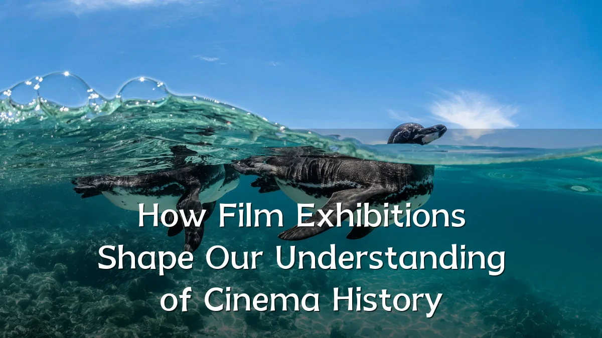 How Film Exhibitions Shape Our Understanding of Cinema History