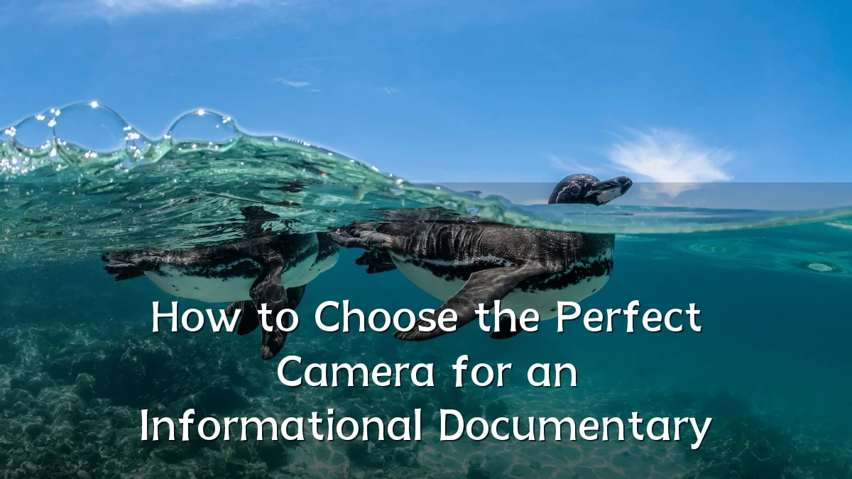 How to Choose the Perfect Camera for an Informational Documentary