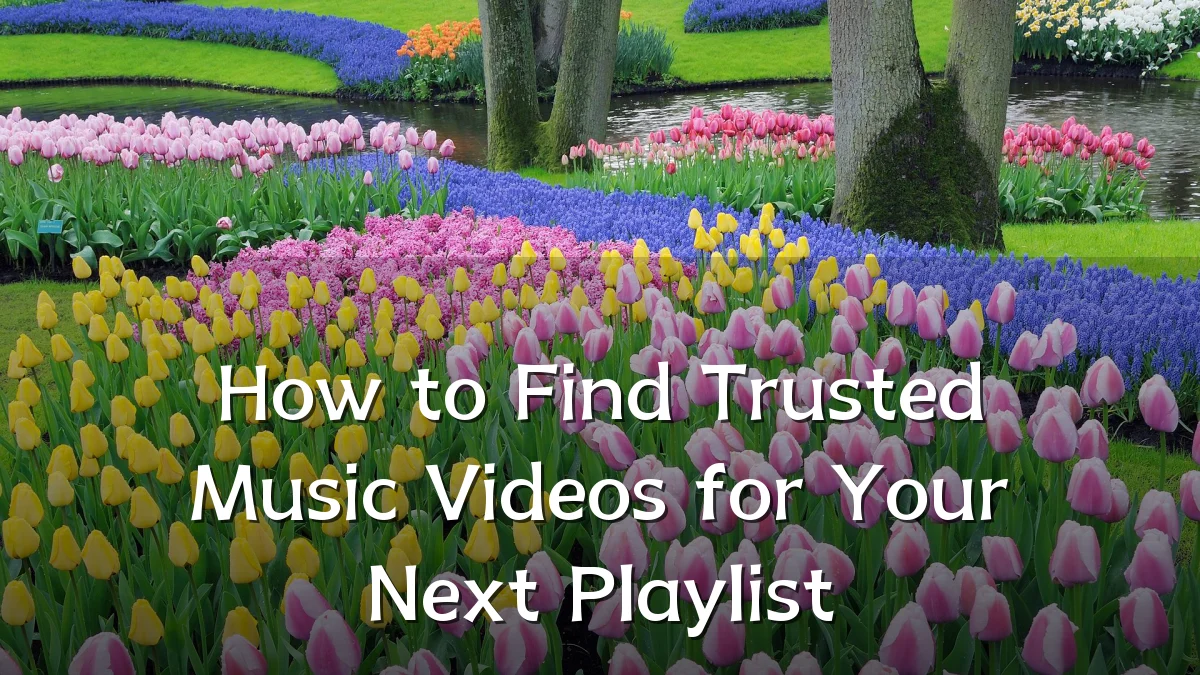 How to Find Trusted Music Videos for Your Next Playlist