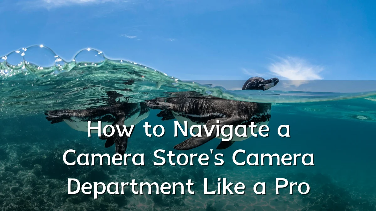 How to Navigate a Camera Store's Camera Department Like a Pro