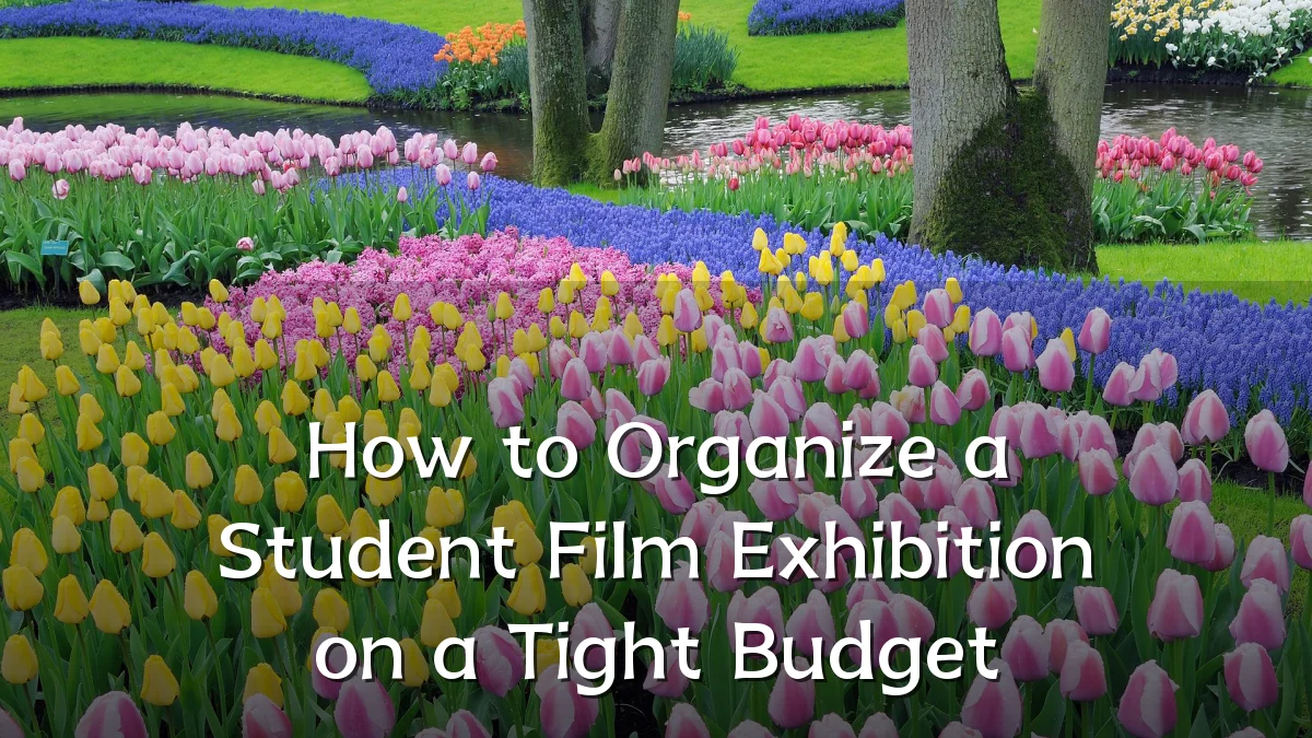 How to Organize a Student Film Exhibition on a Tight Budget