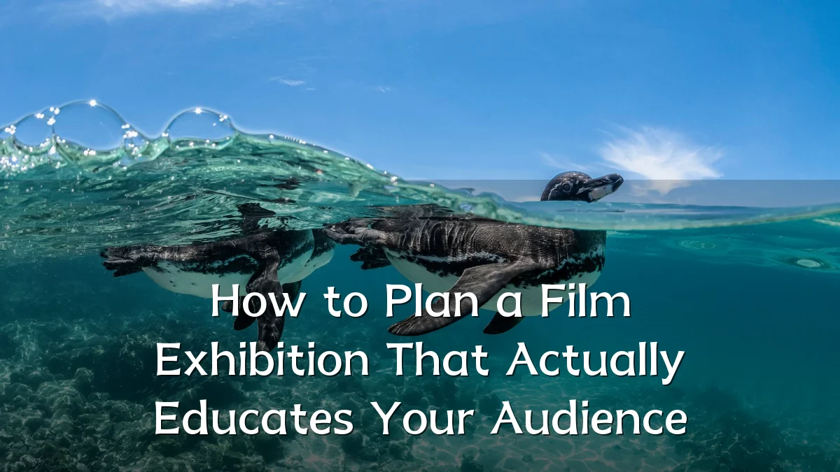 How to Plan a Film Exhibition That Actually Educates Your Audience
