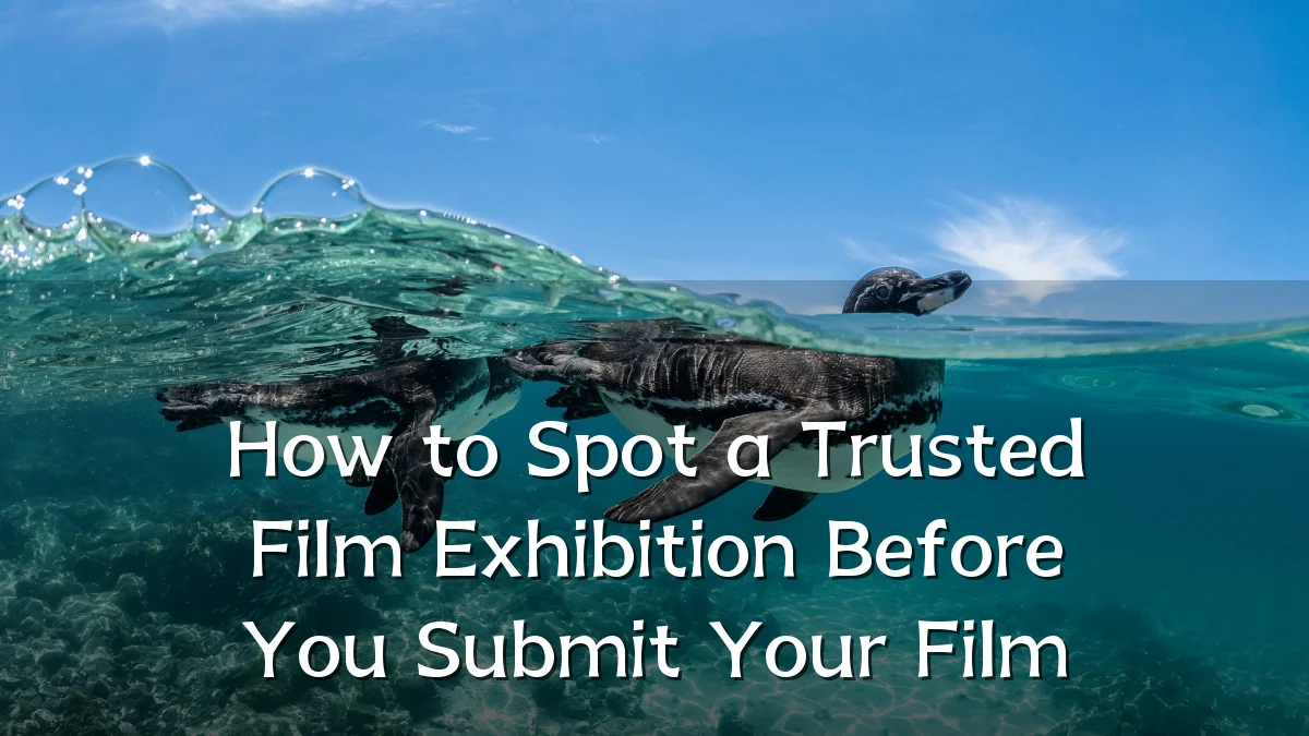How to Spot a Trusted Film Exhibition Before You Submit Your Film