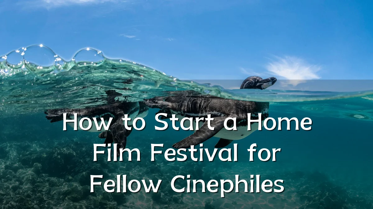How to Start a Home Film Festival for Fellow Cinephiles