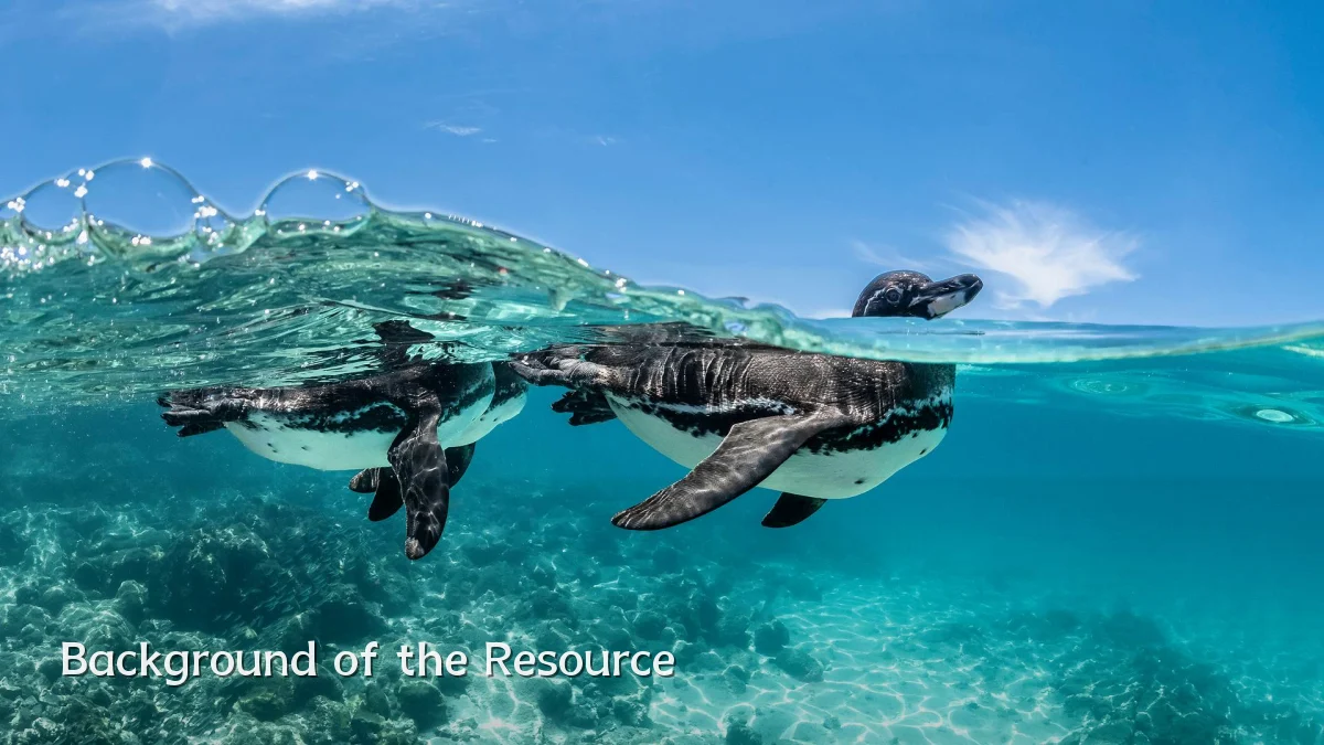 Background of the Resource