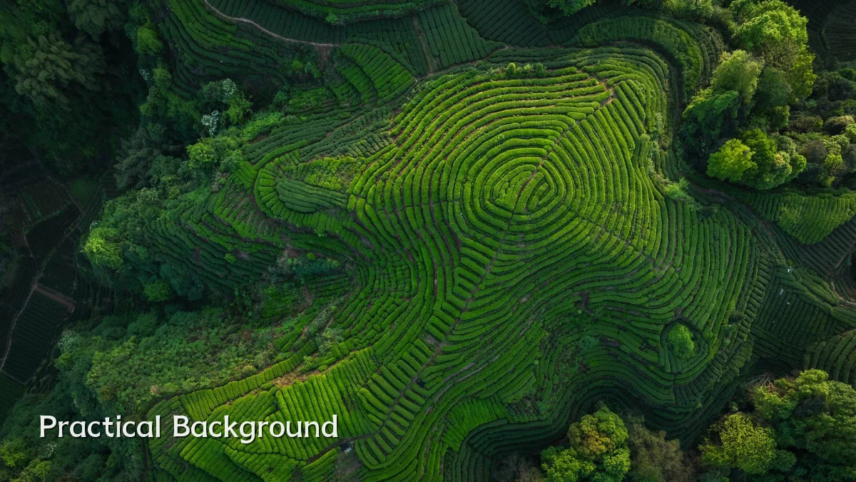 Practical Background