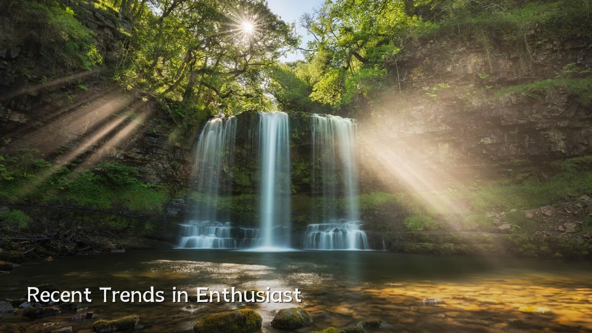 Recent Trends in Enthusiast