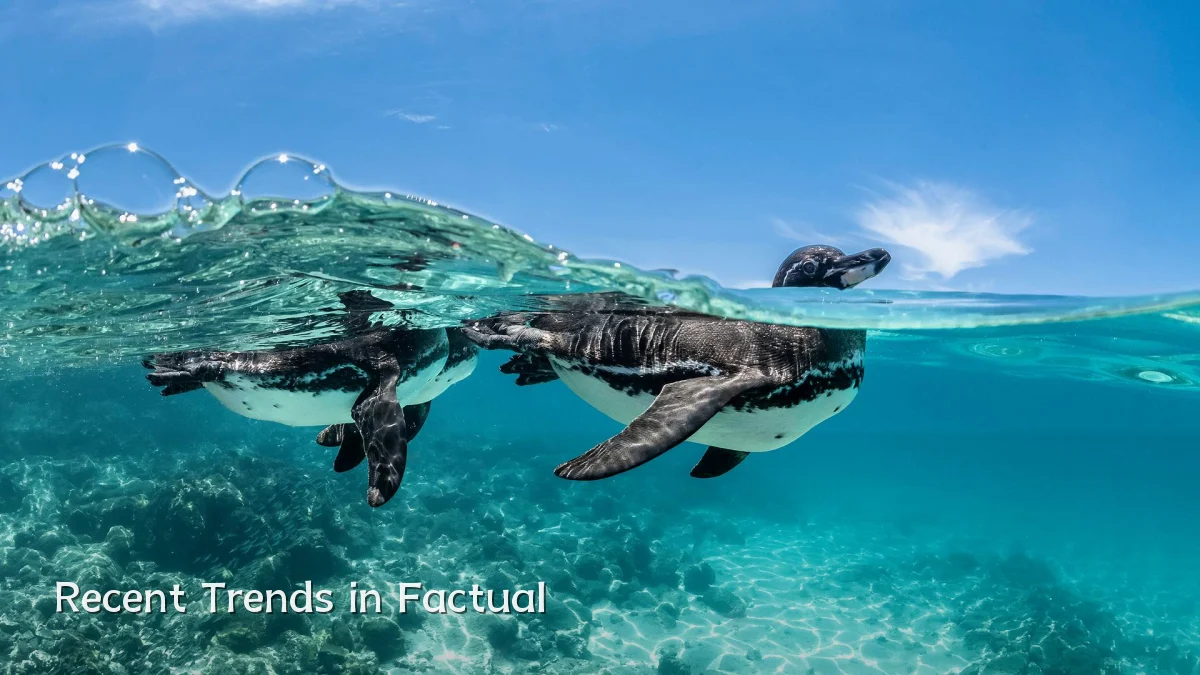 Recent Trends in Factual