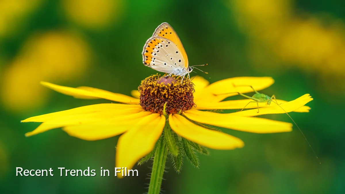 Recent Trends in Film