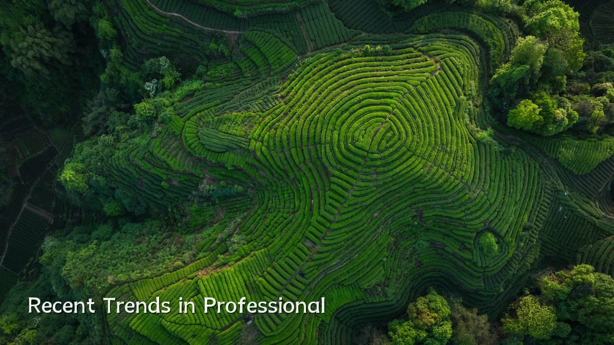 Recent Trends in Professional