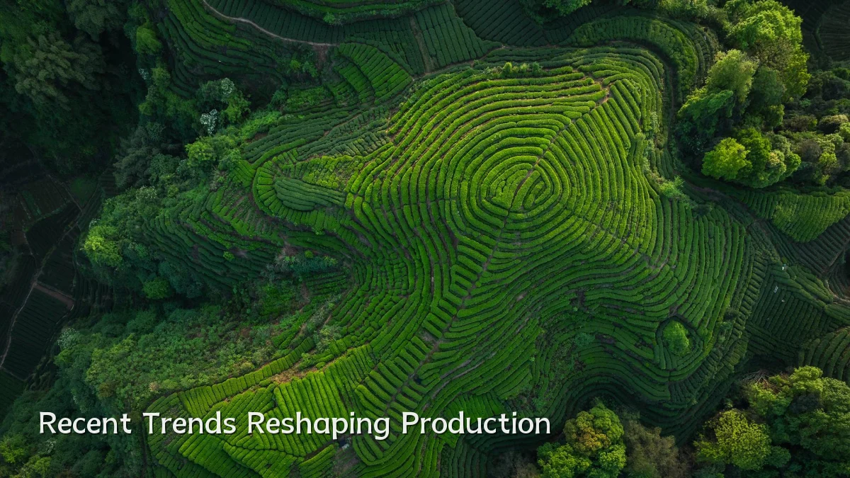 Recent Trends Reshaping Production