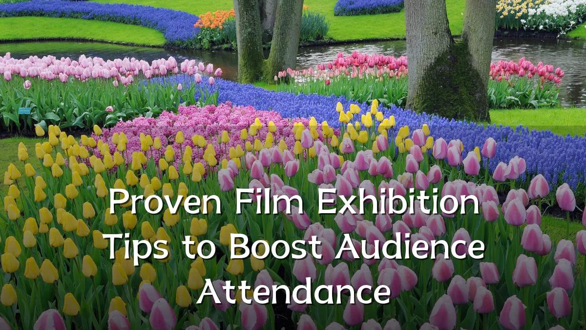 Proven Film Exhibition Tips to Boost Audience Attendance