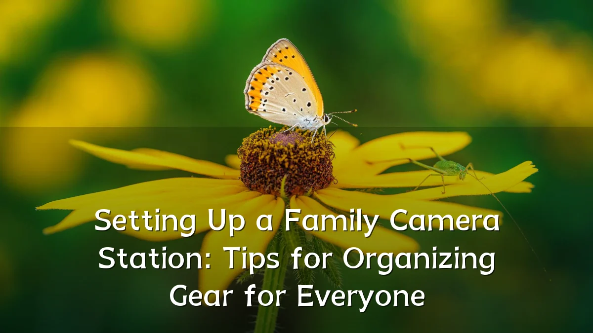 Setting Up a Family Camera Station: Tips for Organizing Gear for Everyone