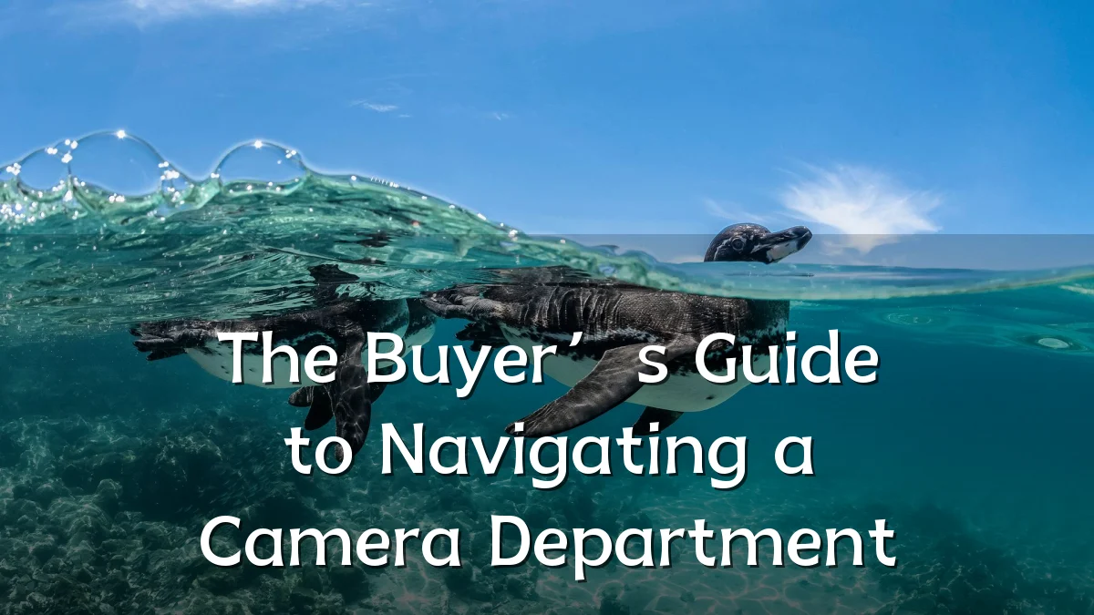 The Buyer’s Guide to Navigating a Camera Department