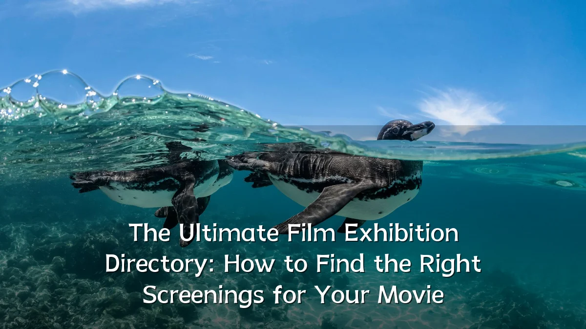 The Ultimate Film Exhibition Directory: How to Find the Right Screenings for Your Movie