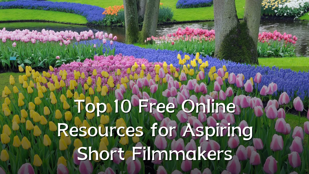 Top 10 Free Online Resources for Aspiring Short Filmmakers