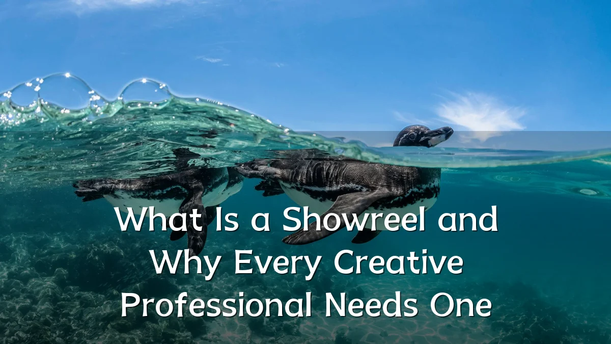 What Is a Showreel and Why Every Creative Professional Needs One