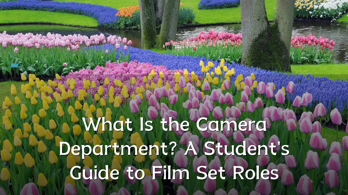 What Is the Camera Department? A Student's Guide to Film Set Roles