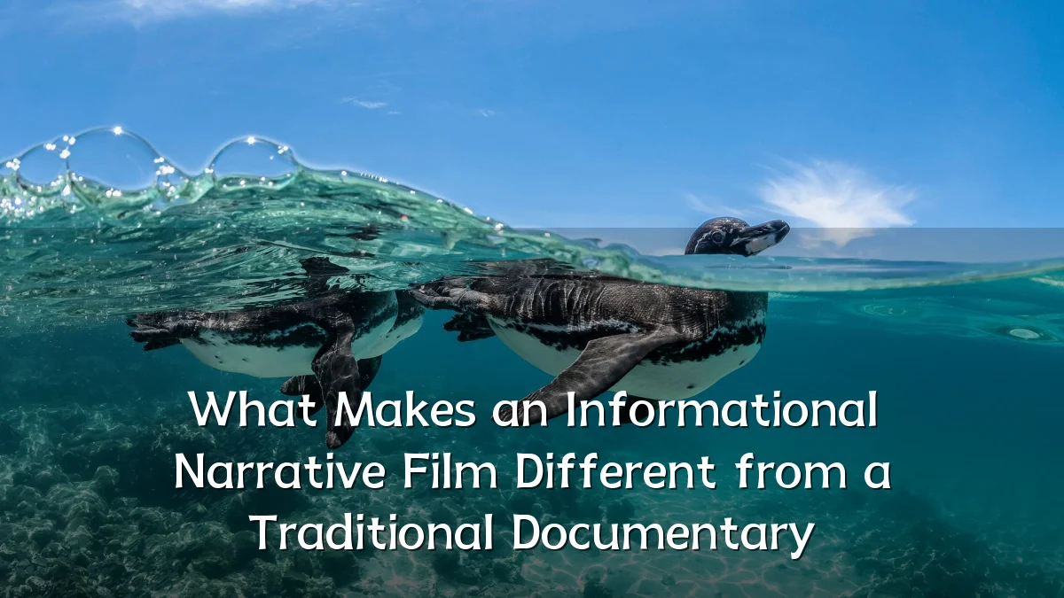 What Makes an Informational Narrative Film Different from a Traditional Documentary