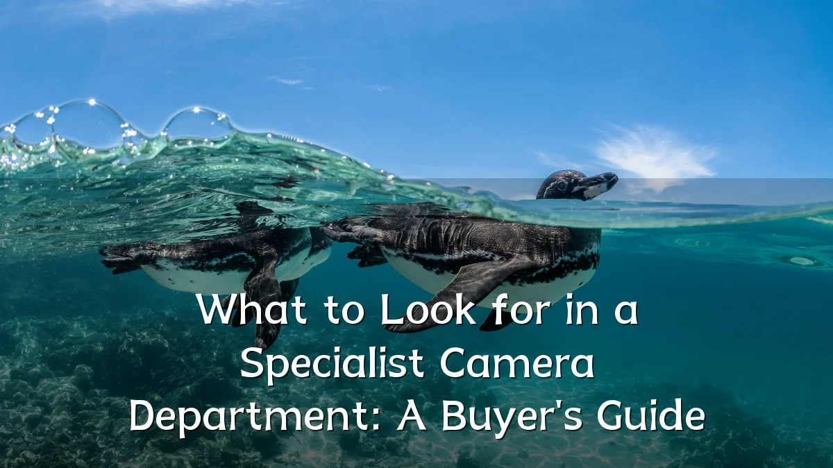 What to Look for in a Specialist Camera Department: A Buyer's Guide