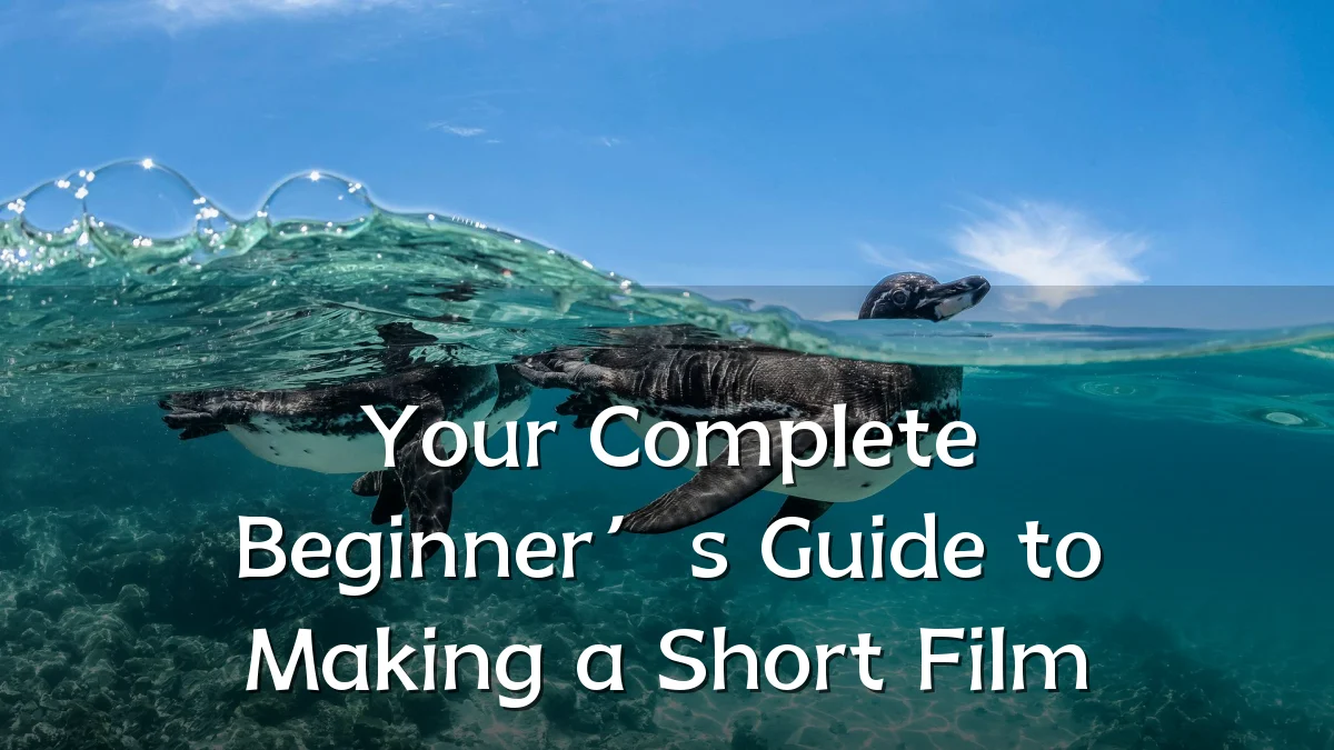 Your Complete Beginner’s Guide to Making a Short Film